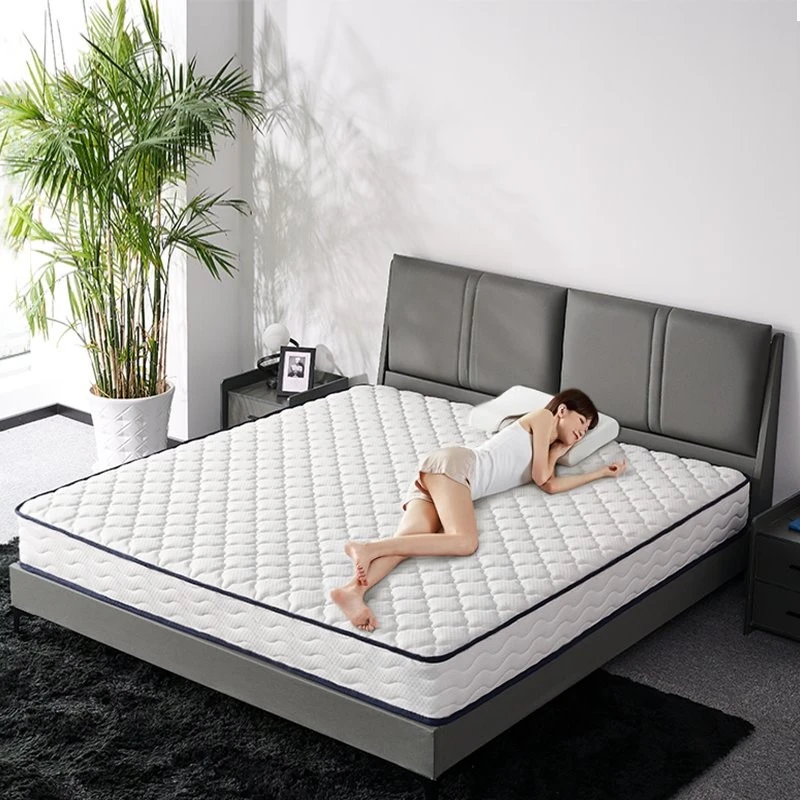 product-800-800 product-800-800